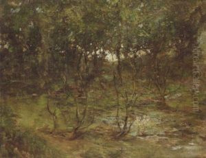 A Woodland Stream A Woodland Stream