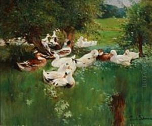 By The Duck Pond by Paul Thomas