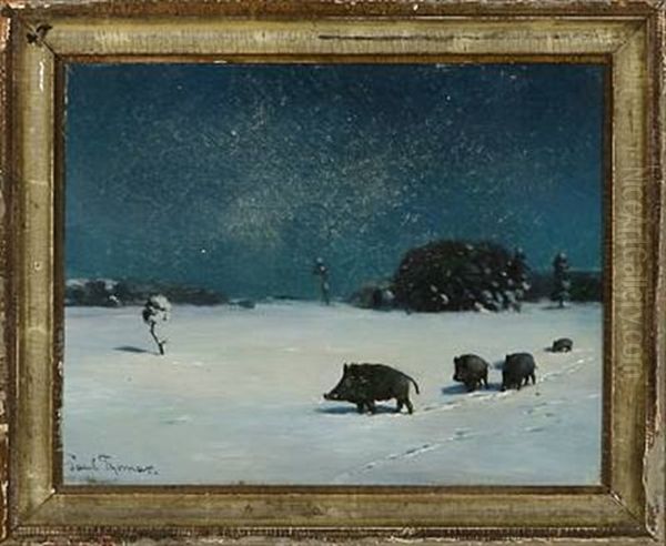 Wildschweine Bei Vollmond - view 1