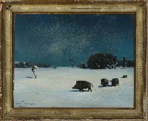 Wildschweine Bei Vollmond
