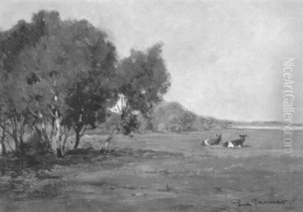 Two Cows Resting In A Summer Pasture - view 1