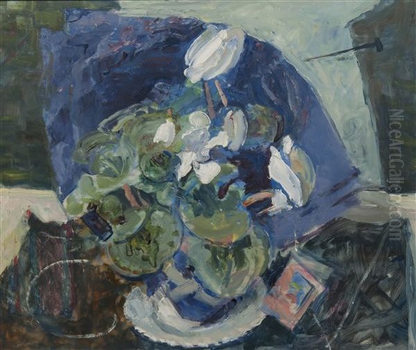 Christmas Cyclamen - view 1
