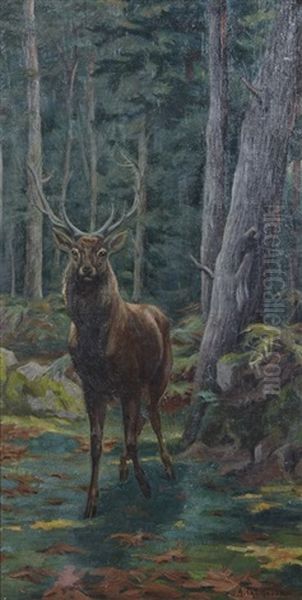 Cerf Dix Cors En Sous Bois - view 1