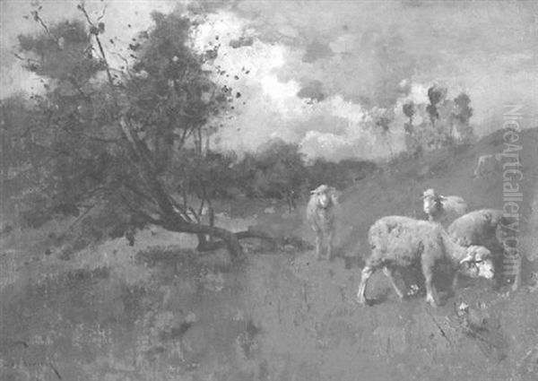 The Sheep Pasture - view 1