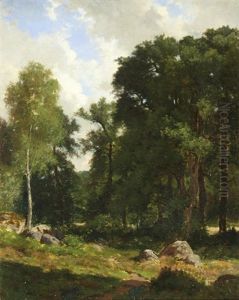 Forest Clearing Forest Clearing