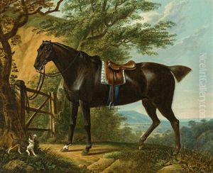Gesattelter Brauner In Sommerlicher Landschaft Am Gatter, Davor Jack-russell-terrier