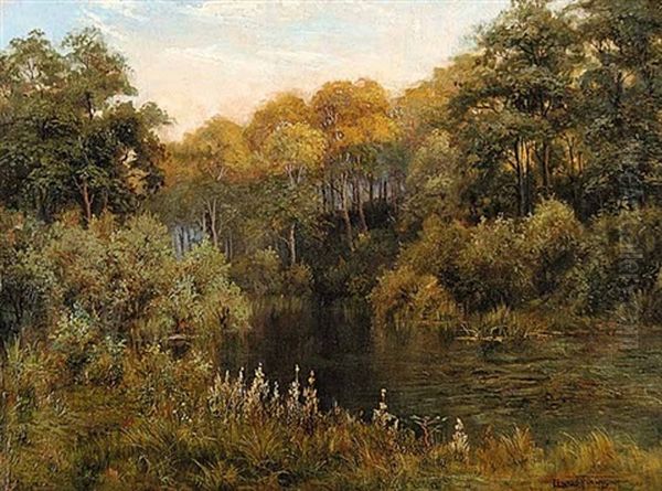 Evening Light, A Silent Pool On The River Cocker, Near Lowiswater - view 1