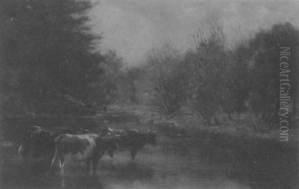 Cows At The River - view 1