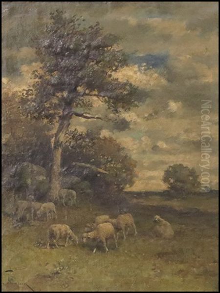 Sheep In Landscape - view 1