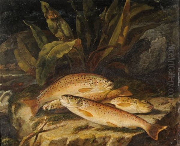 Still Life Of Brown Trout On A Riverbank - view 1