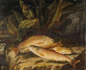 Still Life Of Brown Trout On A Riverbank