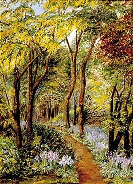 Forest Path In Summer - view 1