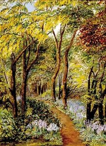 Forest Path In Summer by Jessie Thompson