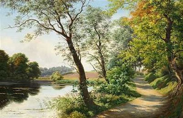 Parti Af Mosegangen Ved Orholm - view 1