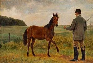 En Berider Traener En Unghest En Berider Traener En Unghest