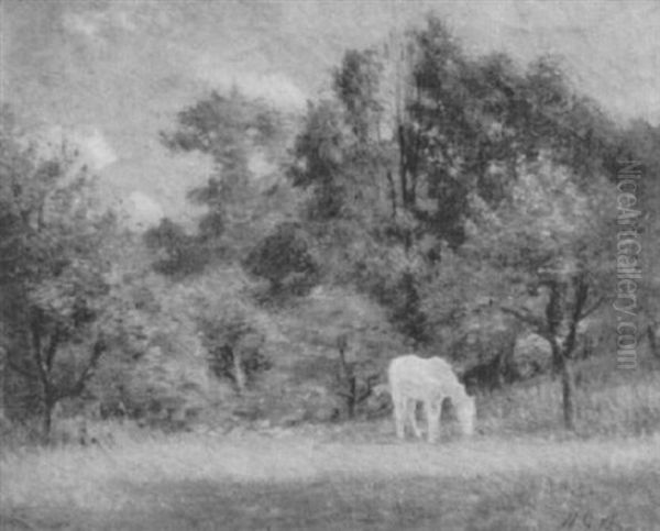 Summer Landscape - view 1