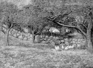 Conn. Rural Scene by Henry Grinnell Thomson