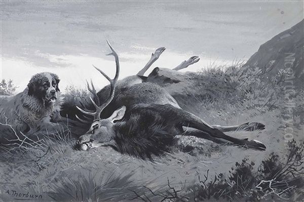 Cruachan And The Ten-pointer - view 1