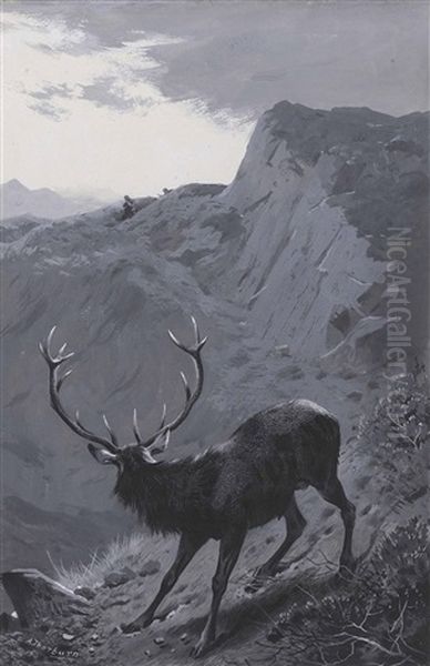 Death Of The Thirteen Pointer - view 1