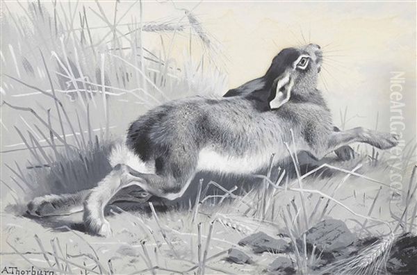 The Wounded Hare: Muff's Work - view 1