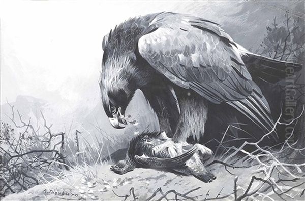 Golden Eagle And Grouse - view 1