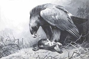 Golden Eagle And Grouse
