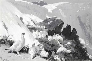 Ptarmigan On A Snow Slip by Archibald Thorburn