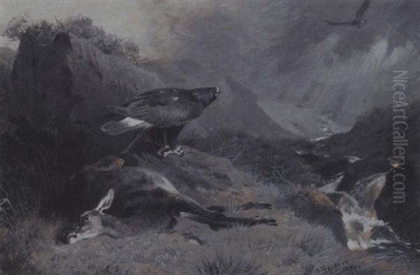 The Dead Hind - view 1