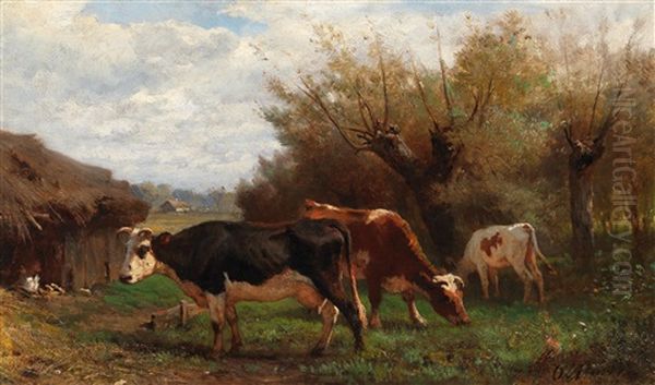 Cows Grazing - view 1