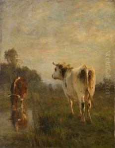 Deux Vaches Au Paturage Deux Vaches Au Paturage