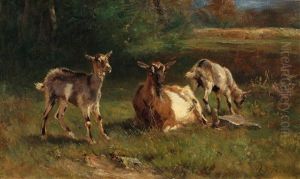 A Goat With Kids A Goat With Kids