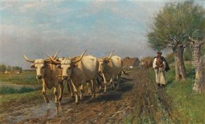 Hungarian Farmer With Steppe Cattle