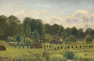 Sommerliche Landschaft Auf Jutland