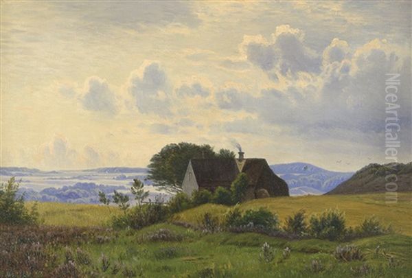 Sommerliche Heidelandschaft Mit Haus - view 1