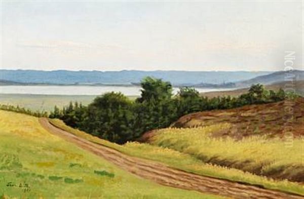 Danish Landscape, The Silkeborg Lakes - view 1