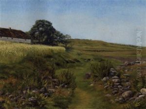 Flade Bakker, Frederikshavn