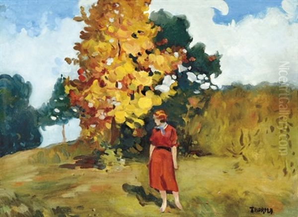 Autumn In Baia-mare - view 1