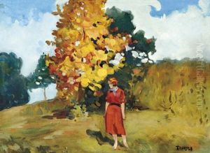 Autumn In Baia-mare
