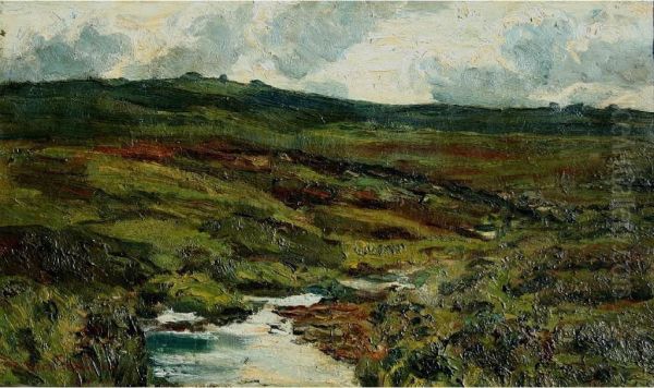 Moorland Scene - view 1