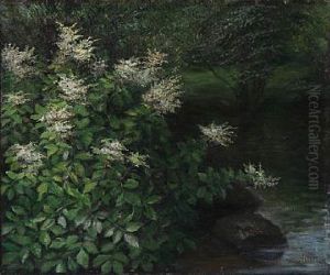 A Plume Bush At A Small Lake by Emmy Thornam
