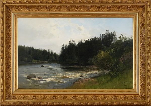 Insjolandskap - view 1