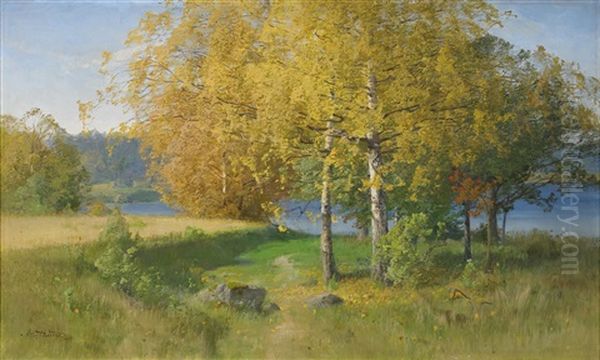 Insjolandskap - view 1
