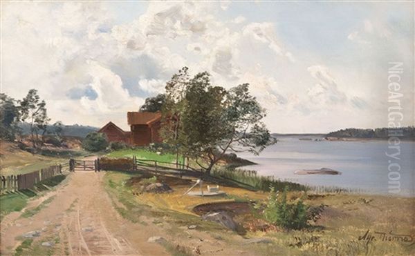 Schwedischer Bauernhof In Sommerlicher Fluslandschaft - view 1