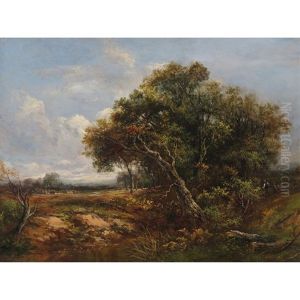 Wooded River Landscape Wooded River Landscape