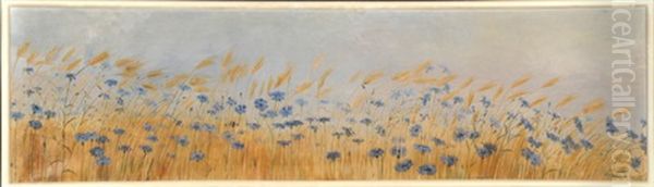 Kornblumen Mit Getreideahren - view 1