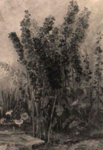Bluhender Rittersporn Auf Freiem Feld by (Princess) Margareta von Thurn und Taxis