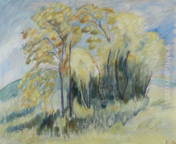 Traer - view 1