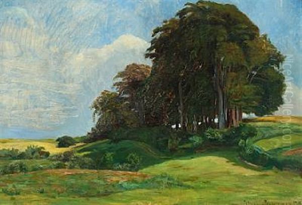 Danish Summer Landscape - view 1