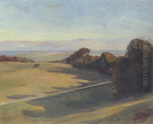 Kuperet Marklandskab - view 1