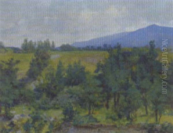 Landschaft Bei Hall In Tirol - view 1